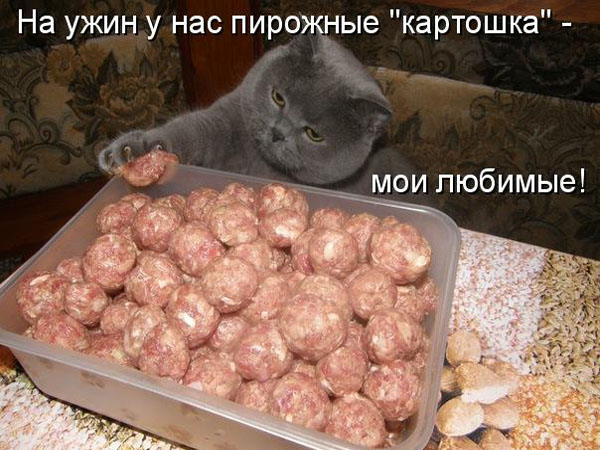 Картошка.png