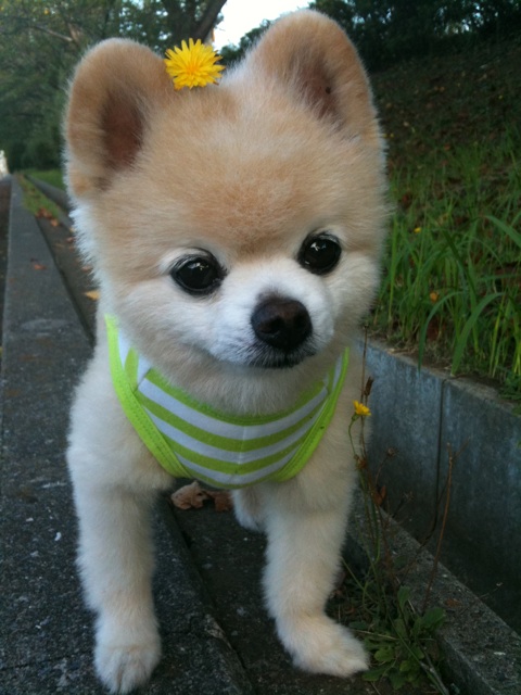 Shunsuke11.jpg