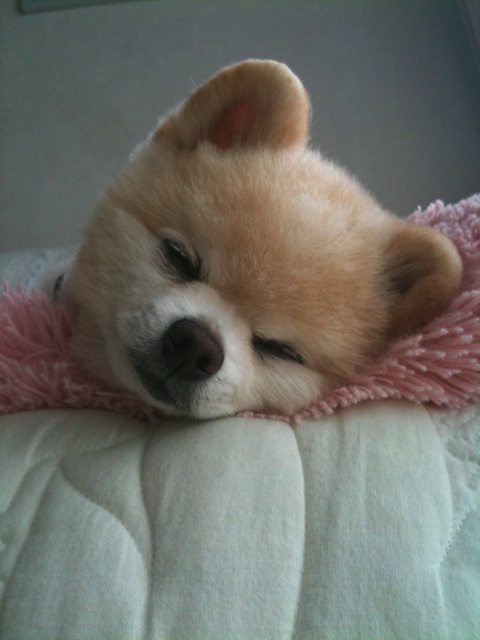 Shunsuke12.jpg