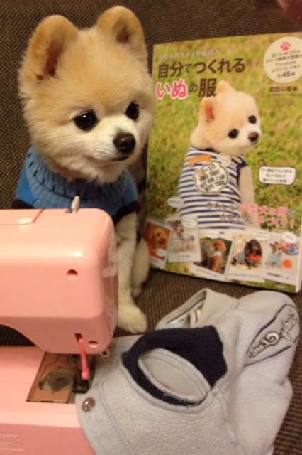 Shunsuke13.jpg