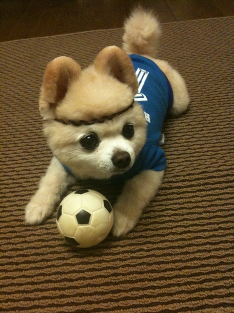 Shunsuke21.jpg