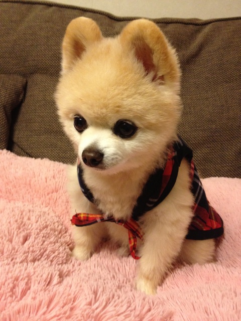 Shunsuke5.jpg