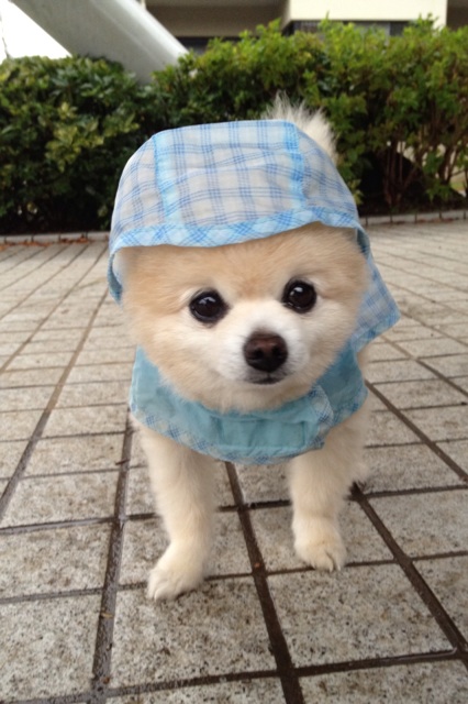 Shunsuke6.jpg