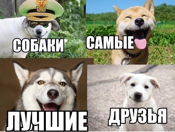 позитиво.jpg