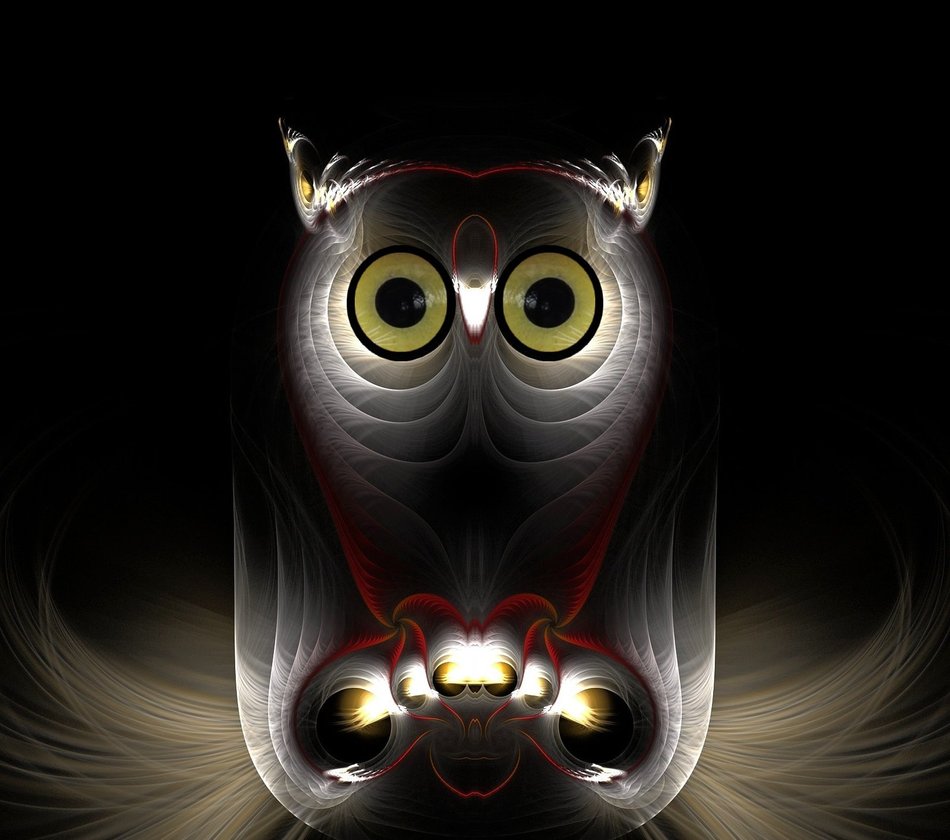 nightowl.jpg