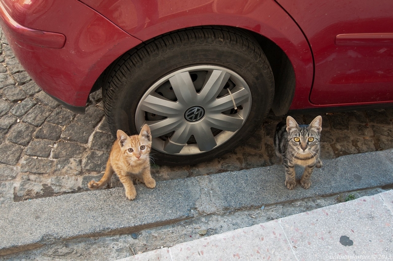 Istanbul_IX.2013_0110_rs.jpg