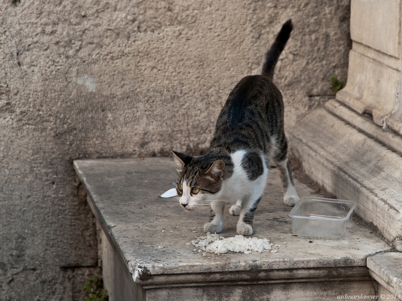 Istanbul_IX.2013_0017_rs.jpg