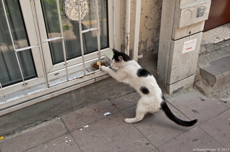 Istanbul_IX.2013_1868.jpg