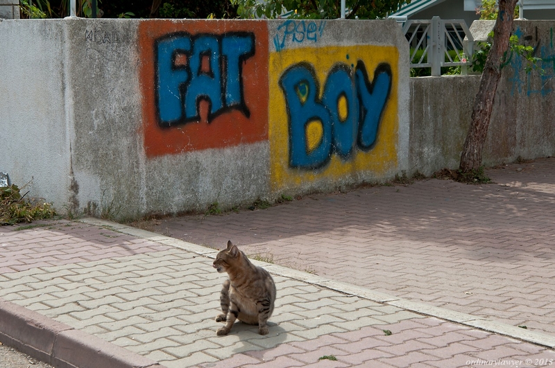 Istanbul_IX.2013_2374.jpg