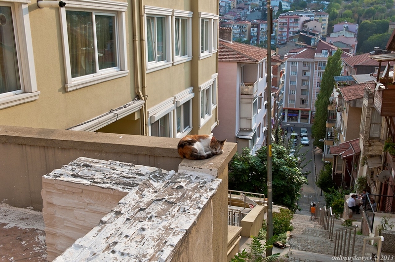 Istanbul_IX.2013_2413.jpg