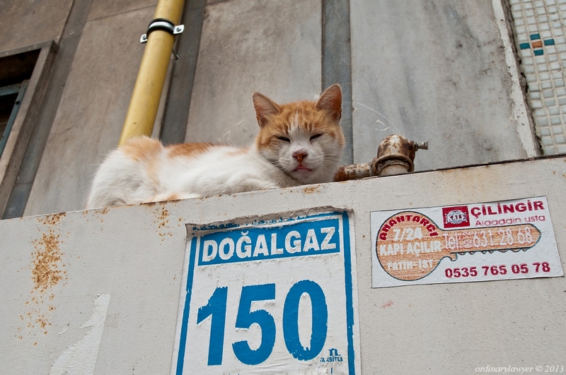 Istanbul_IX.2013_2536.jpg