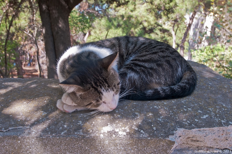 Istanbul_IX.2013_0437.jpg