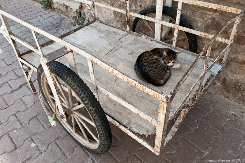 Istanbul_IX.2013_0457.jpg