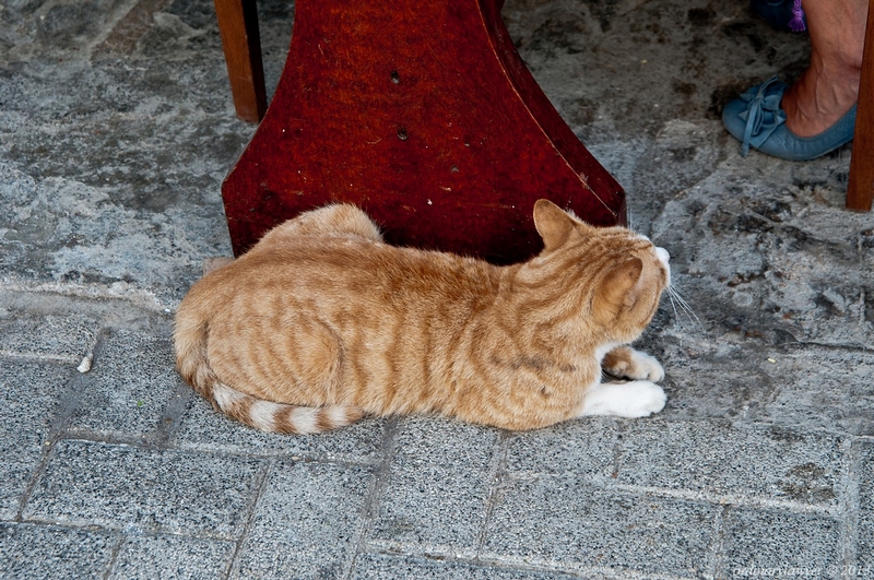 Istanbul_IX.2013_0543.jpg