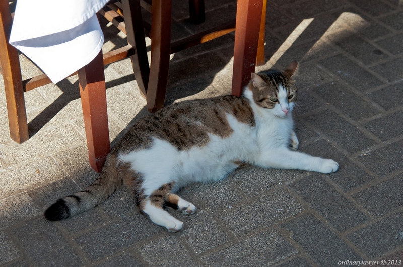 Istanbul_IX.2013_0562.jpg