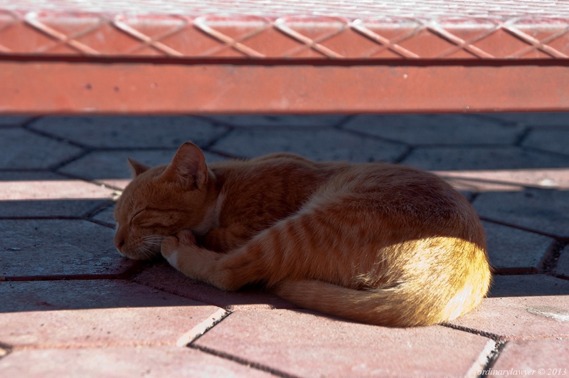 Istanbul_IX.2013_0624.jpg