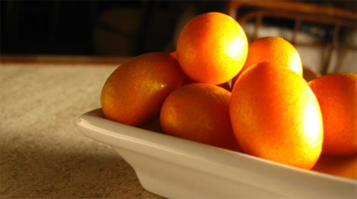 qumquat.jpg
