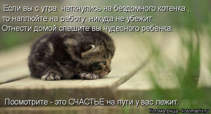 юм7.jpg