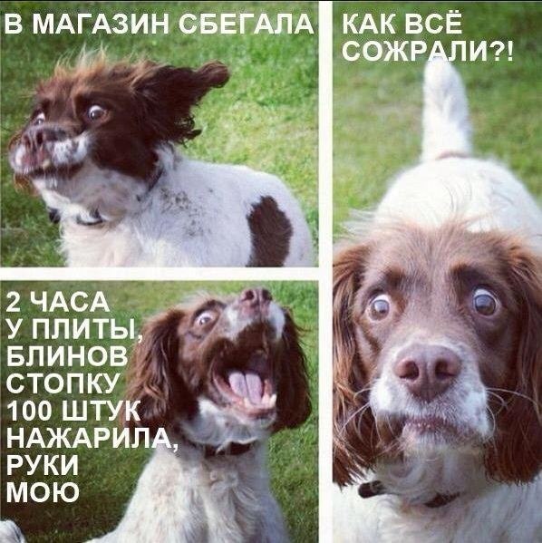 юмори.jpg