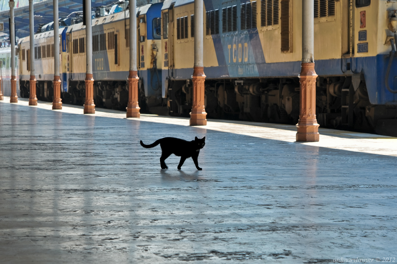 Istanbul_20110515_0016_rs_w.jpg