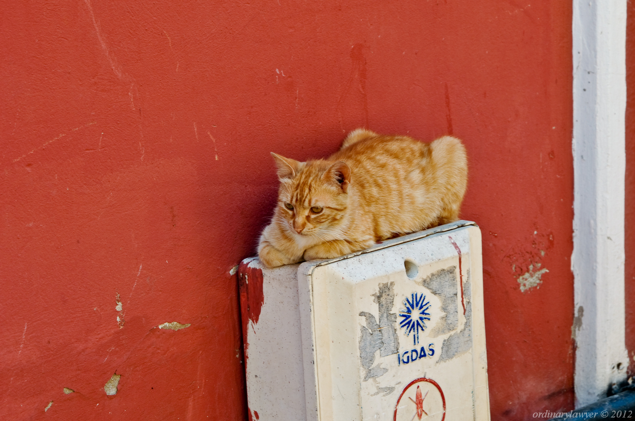 Istanbul_20110523_1049_rs_w.jpg