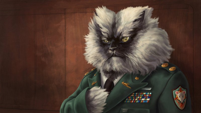 Кот Полковник Мяу.jpg