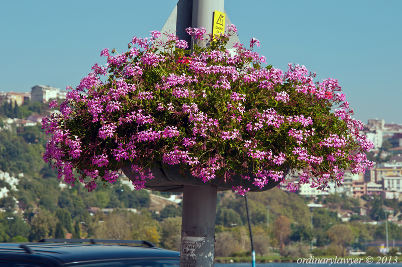 Istanbul_IX.2013_0702.jpg