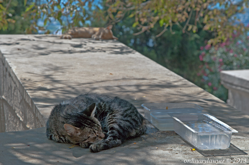 Istanbul_IX.2013_0733.jpg