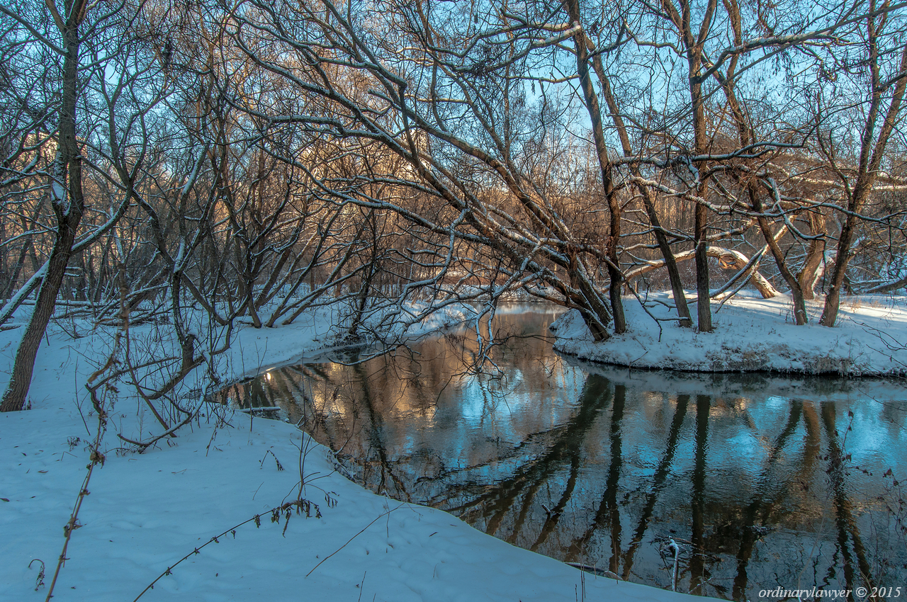 2015.01.06_Сходня_007.jpg