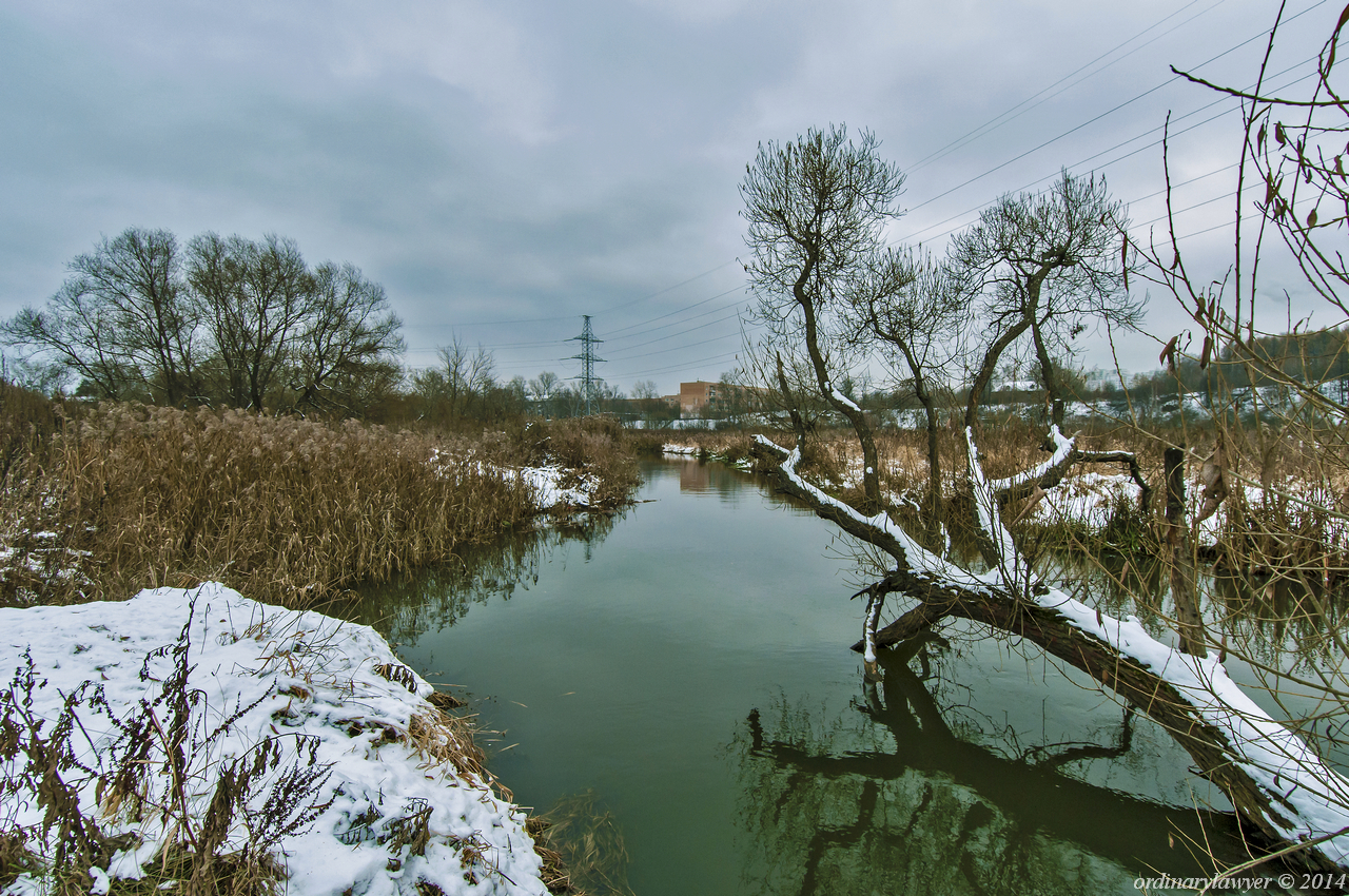 2014.12.04_Путилково_014.jpg