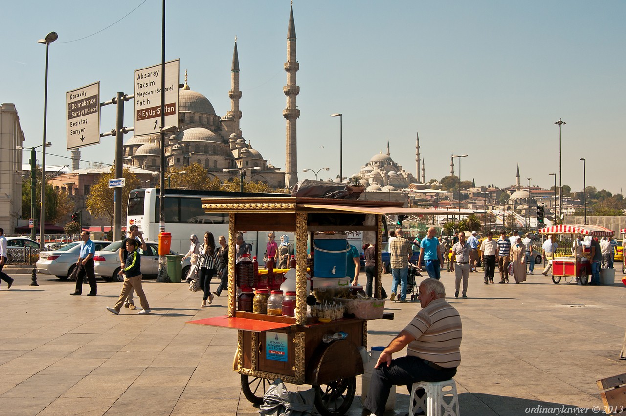 Istanbul_IX.2013_2850.jpg