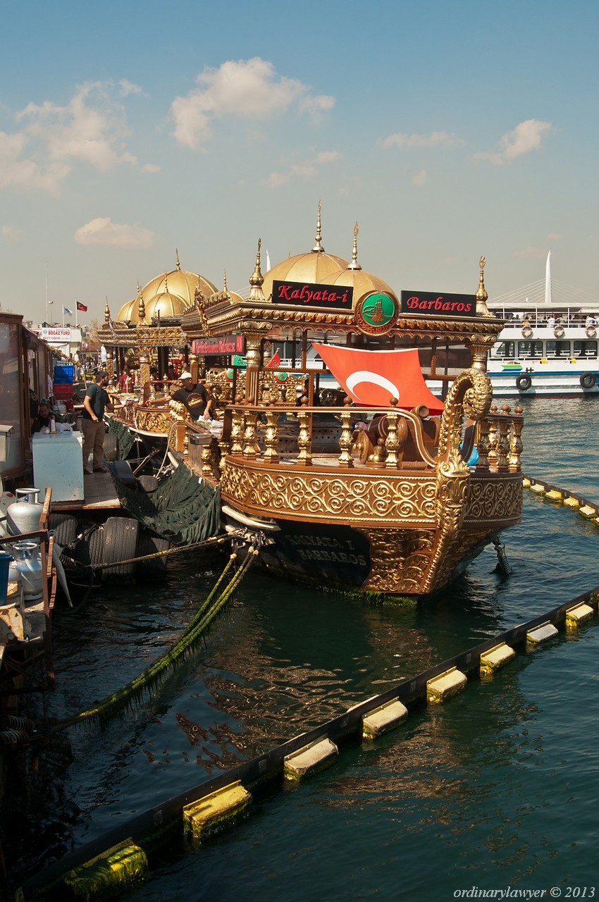 Istanbul_IX.2013_2852.jpg