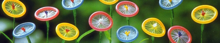 condom-flowers.jpg