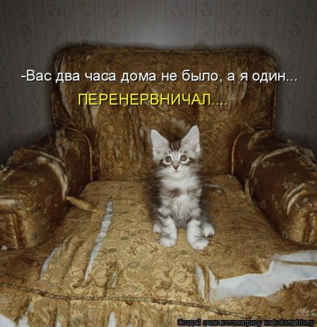 Царапка-1.jpg