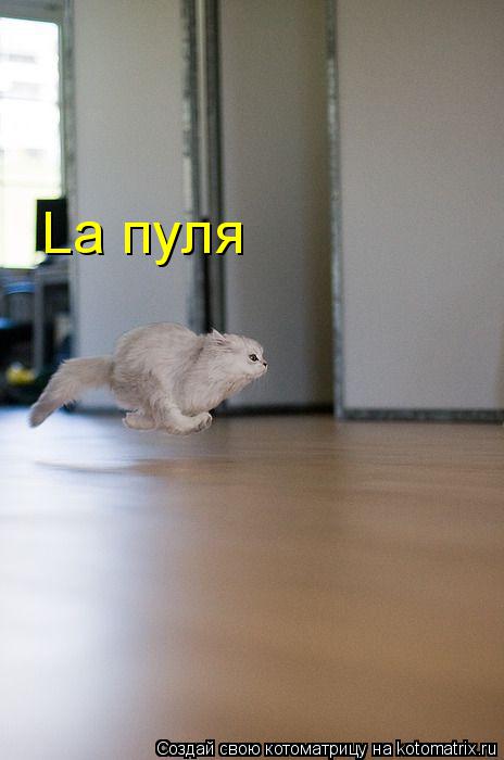 La пуля.jpg