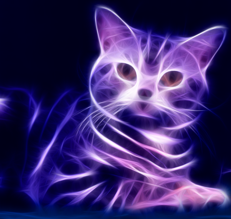 fractaliuscat.png