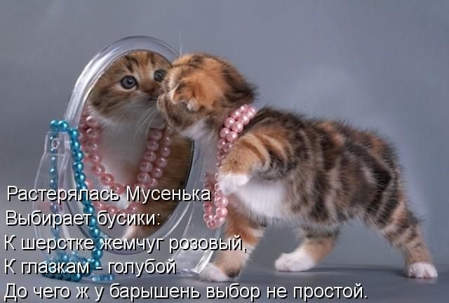 omg2.jpg