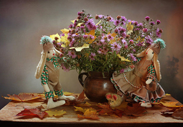 Still-life_Asters_Autumn_Doll_Foliage_537756_600x419.jpg