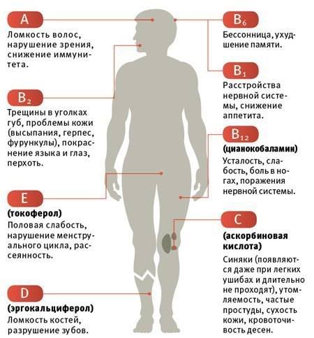 синяк.jpg