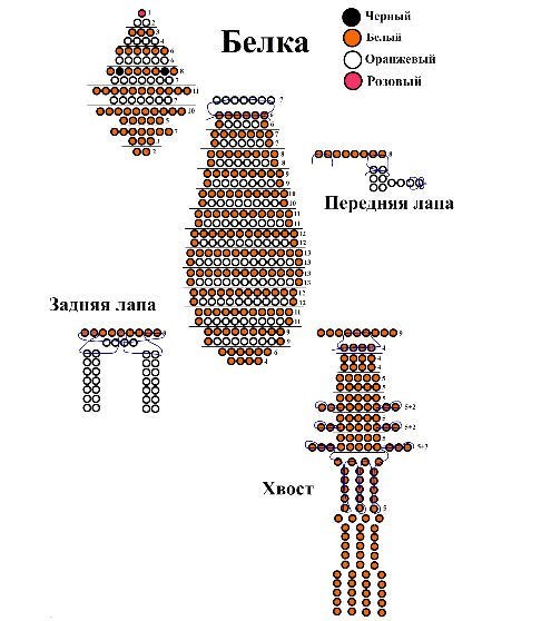 belka1.jpg